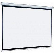 Экран для проектора Lumien Eco Picture LEP-100109 настенно-потолочный